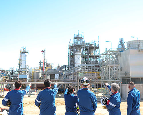 group of workers observing plant equipment